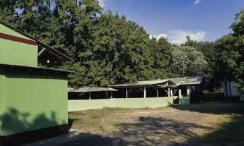 Imagem 7: Abatedouro - Frigorifico de Suínos