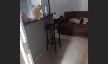 Imagem 2: Alugo Apartamento Vila Planalto-DF