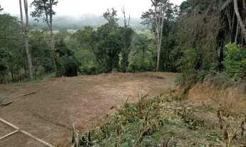 Imagem 3: Oportunidade] Sítio - 8.325m² - Miracatu/SP