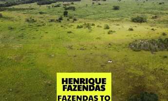 Imagem: Fazenda região de Duere conta com 68 alqueires