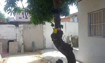 Imagem 5: Alugo casa Casa com 2 dormitórios