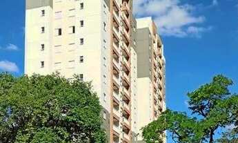 Imagem: COBERTURA DÚPLEX PRONTA PRA MORAR RODEADA