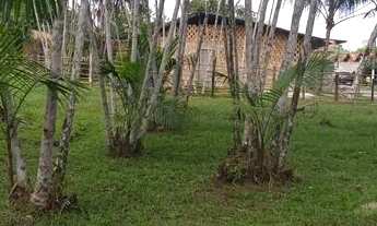 Imagem 3: Terreno em marituba