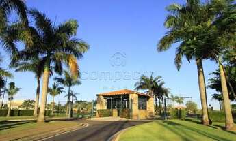 Imagem 6: Casa Condomínio em São José do Rio Preto