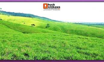 Imagem 7: FAZENDA DE 550 TAREFAS - Nossa Senhora das Dores