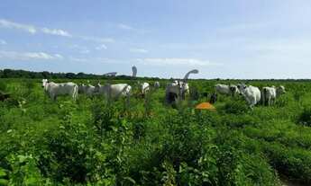 Imagem 5: Fazenda - Centro - São Romão