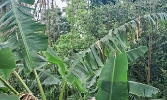 Imagem 7: Casa com terreno