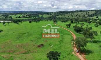 Imagem 3: Fazenda 360 alqueires (1.742 hectares ) Catalao - GO