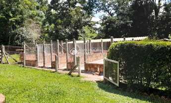 Imagem 4: SITÍO NO PARQUE ELDORADO, PRÓXIMO A BR 290!