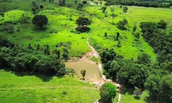 Imagem 3: Fazenda Cultura 61 Alqueires - Itapuranga-Go