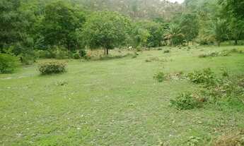 Imagem: Vendo essa Fazenda