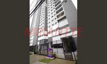 Imagem 4: Apartamento de 36m² com 2 quartos em Vila Albertina