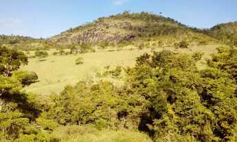 Imagem 6: Linda Fazenda no município de Ubaíra- Bahia