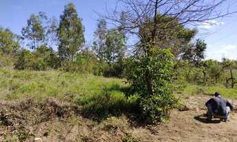 Imagem 3: Terreno cm casa Terreno / lote com venda por R$70.000