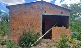 Imagem 6: Fazenda 81 uma hectares e meia valor 420.000