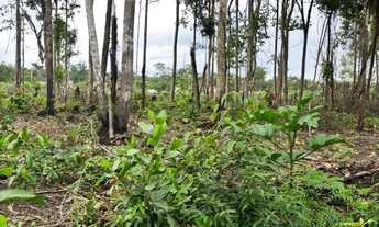 Imagem 4: Terreno no Iranduba