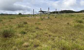 Imagem 3: Terreno no tepequem grande