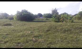 Imagem 2: Terreno no mosqueiro escriturado