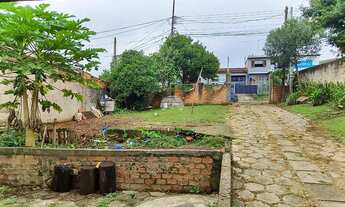 Imagem 4: Vendas Casa Colombo PR