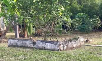 Imagem 4: Chácara - 03 Domitórios 02 salas 03 banheiros 01 galpão