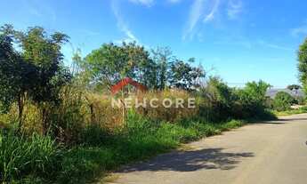 Imagem 3: Lote em Rua Prof. Reginalda Ribeiro de Oliveira - Maria de Lourdes - Dirceu Lopes - Pedro