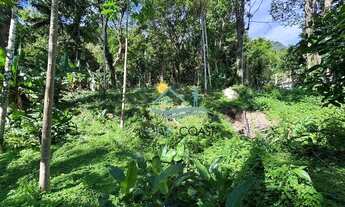 Imagem 4: Terreno à venda, 3000 m² por R$ 649.000 - T Pequeno - São Sebastião/SP