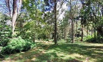 Imagem 2: Encantador Sítio à Venda em Mairinque | 20.568 m² | Mata Atlântica | Lago