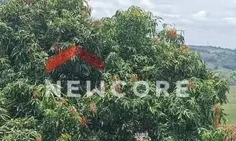 Imagem 6: Cobertura em Rua Alberto Silva - Célvia - Vespasiano/MG