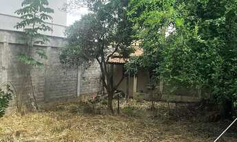 Imagem: Lote sertor Jao J 2