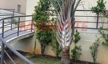 Imagem 7: Sobrado em condomínio fechado no Tucuruvi 2 suítes, 2 vagas privativas