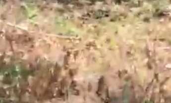 Imagem 3: Lote grande na Quinta do Sumidouro