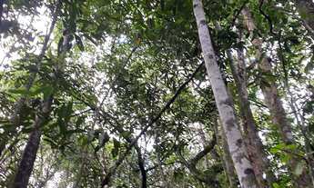 Imagem 2: Atenção chácara na br060