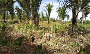 Imagem: Imóvel para venda possui 10000 metros quadrados
