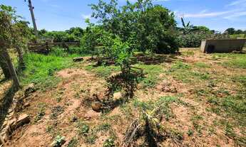 Imagem 5: Terreno para chácara 1000m² Mirassol