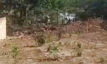 Imagem: Lote 6 por 30