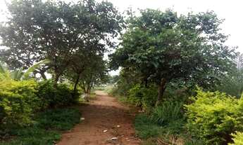 Imagem 6: Chácara de 5 Alqueires Apenas 140.000,00, Próximo a Goianésia