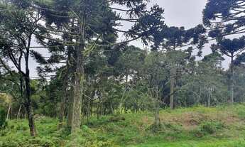 Imagem 6: Sítio no Morro da igreja/chácara em Urubici