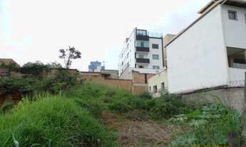 Imagem: LOTE 420 MTS EUROPA EM CONTAGEM MG