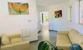 Imagem 2: NATAL - Padrão - Capim Macio