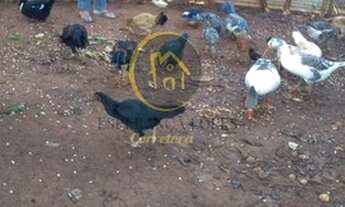 Imagem: Chácara para Venda em Araçoiaba da Serra