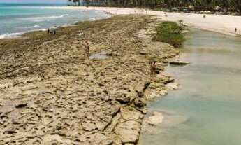 Imagem 4: Nomar Carneiros Ecoliving - Beira mar da Praia dos Carneiros - Varanda gourmet - Tapa de C