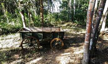 Imagem 10: Terreno à venda, 500 m² por R$ 235.000 - Condomínio Inconfidentes - Ouro Preto/MG