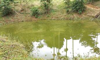 Imagem 7: Vendo Chácara Domingos Martins (27) 99508 2284 Whatsapp