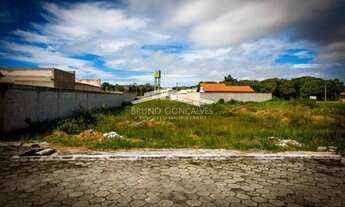 Imagem 5: Porto Seguro - Terreno Padrão