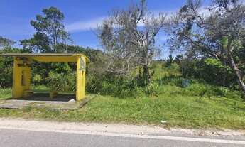 Imagem 3: Área à venda, 450814 m² por R$ 6.800.000,00 - Atami - Pontal do Paraná/PR