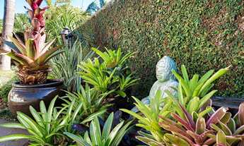 Imagem 6: SãO LEOPOLDO - Casa Padrão - Cristo Rei