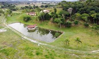 Imagem 7: PAPUCAIA BELA FAZENDINHA COM 3,8 ALQUEIRES