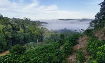 Imagem 5: Vendo ou troco por carro