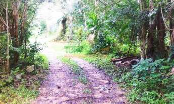 Imagem 2: SãO JOSé - Sítio - Colônia Santana