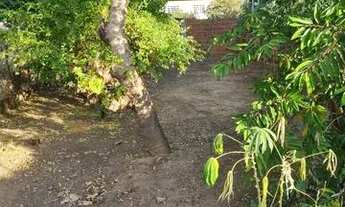 Imagem 3: Lote 350 M2 Vila Jussara (parte alta da cidade